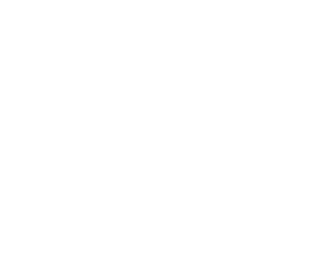 Bema Incorporated Logo